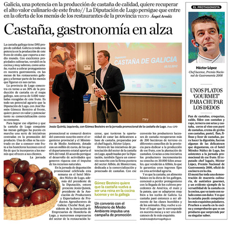 Noticia_castana